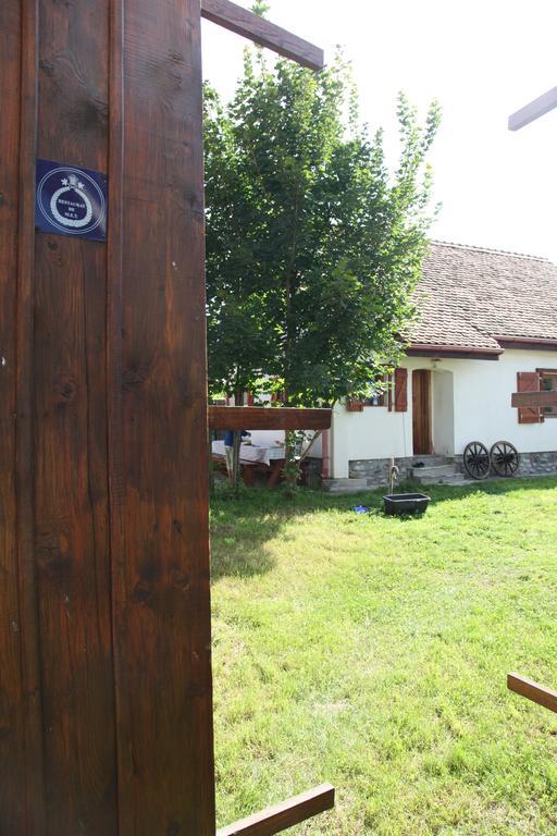 Villa La Mosu Porumbacu de Sus Exterior foto